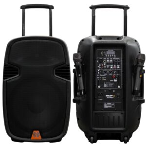CORNETA AMPLIFICADA 15" 200W USB/2 MICROF BAT SA-15PISTA SAYPRO