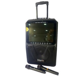 SISTEMA ANDROID KARAOKE 14" BAJO 10 BT/USB/2 SA-KR40 SAYPRO