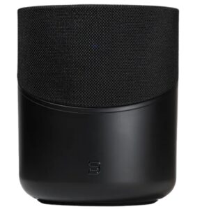 P230 WIRELESS STREAMING SPEAKER PULSE M BLUESOUND
